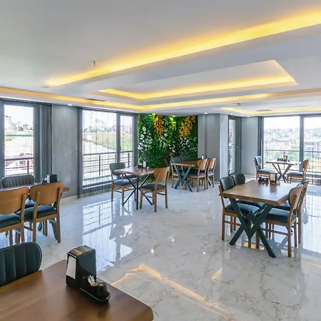 Meyzi 3*